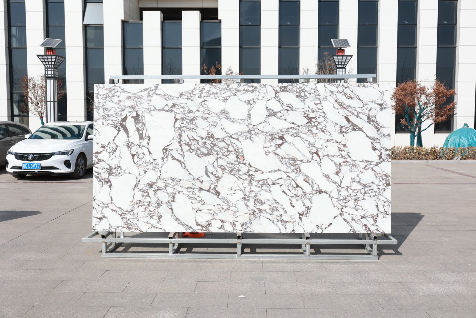 Calacatta Viola Full Body